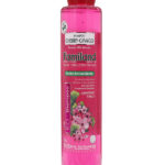 Shampoo Familand Cherry Ginkgo 750 ml