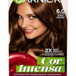 Tinte Garnier 6.0