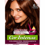 Tinte Garnier 6.7