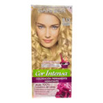Tinte Garnier 9.13