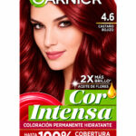 Tinte Garnier 4.6