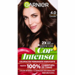 Tinte Garnier 4.0