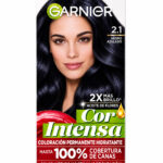 Tinte Garnier 2.1
