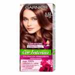 Tinte Garnier 5.52