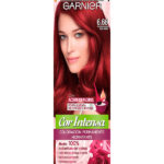 Tinte Garnier 6.66