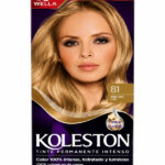 Tinte Koleston 8.1